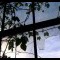 Signs of life exist inside an abandoned building in Trimble, Ohio. Signs of life exist inside an abandoned building in Trimble, Ohio.