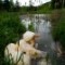 A deep water hole contaminated with acid mine drainage from the Glen Ebon strip mine.